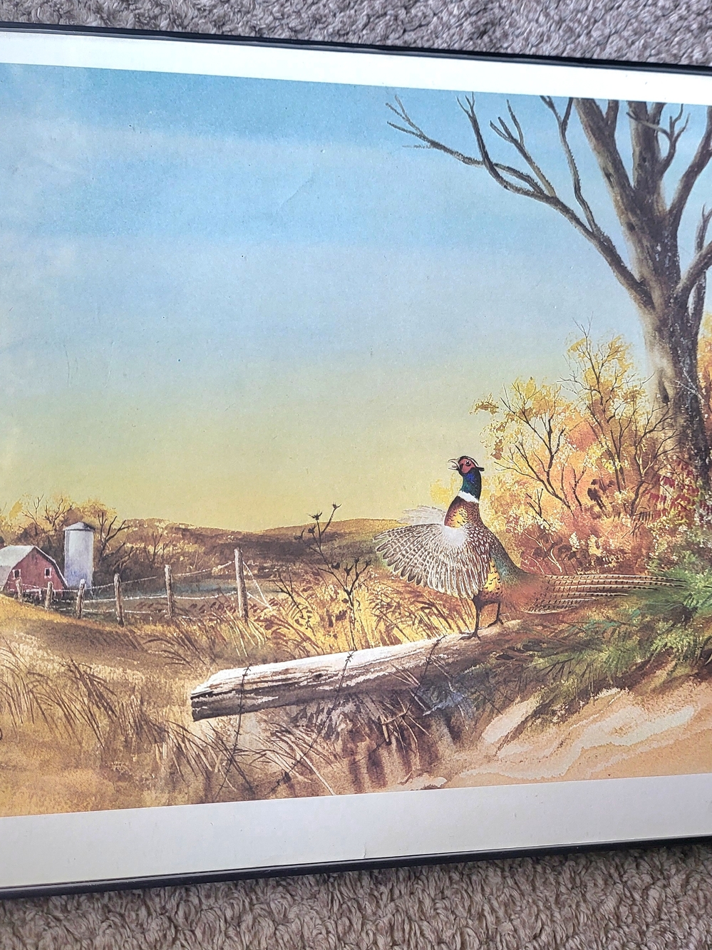 Framed Pheasant Landscape Print with Autumn Tones